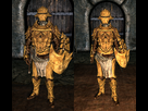 https://image.noelshack.com/fichiers/2013/11/1363017975-1000px-bonemold-armor-both2.png