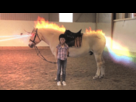 https://image.noelshack.com/fichiers/2013/11/1363034540-thanks-internet-pony.gif