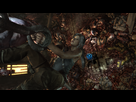 https://image.noelshack.com/fichiers/2013/11/1363046563-tombraider-2013-03-10-00-22-23-65.png