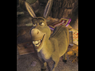 https://image.noelshack.com/fichiers/2013/11/1363078529-ane-de-shrek.jpg
