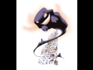 https://image.noelshack.com/fichiers/2013/11/1363512445-p-6.png