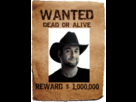 https://image.noelshack.com/fichiers/2013/11/1363513068-wanted.gif