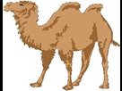 https://image.noelshack.com/fichiers/2013/11/1363558611-image.jpg