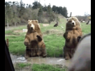 https://image.noelshack.com/fichiers/2013/12/1363601120-tumblr-lyzg2skvax1qfjjglo2-250.gif