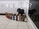 https://image.noelshack.com/fichiers/2013/12/1363723836-y-u-do-dis.png