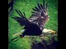 https://image.noelshack.com/fichiers/2013/12/1363727858-image.jpg