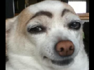 https://image.noelshack.com/fichiers/2013/12/1363807602-test2.png