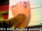 https://image.noelshack.com/fichiers/2013/12/1363812368-imgur-gallery-hzsfl-its-time-to-stop-posting.jpg
