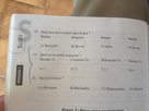 https://image.noelshack.com/fichiers/2013/12/1363953128-photo-8.jpg
