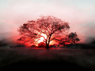 https://image.noelshack.com/fichiers/2013/12/1364147157-coucher-soleil-fond-ecran-hd.jpg