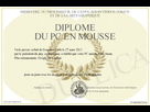 https://image.noelshack.com/fichiers/2013/13/1364390430-700-270446-diplome-du-pc-en-mousse.jpg