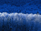 https://image.noelshack.com/fichiers/2013/13/1364407699-hiver.jpg
