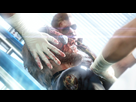 https://image.noelshack.com/fichiers/2013/13/1364473518-metal-gear-solid-v-the-phantom-pain-xbox-360-1364462347-018.jpg