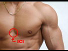 https://image.noelshack.com/fichiers/2013/13/1364543252-comment-avoir-des-pectoraux.jpg
