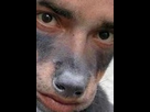 https://image.noelshack.com/fichiers/2013/13/1364575152-1362416840-chien-bizarre.jpeg