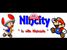 https://image.noelshack.com/fichiers/2013/13/1364663440-nincity.png