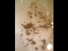 https://image.noelshack.com/fichiers/2013/14/1365019729-iphone-image-04-03-2013.jpg