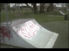 https://image.noelshack.com/fichiers/2013/14/1365259710-dog-slide-fail.gif