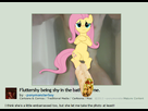 https://image.noelshack.com/fichiers/2013/14/1365264771-broniesinashellnut.jpg