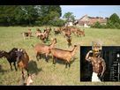 https://image.noelshack.com/fichiers/2013/14/1365267720-salerno.png