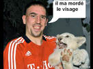 https://www.noelshack.com/2013-15-1365450273-ribery.jpg