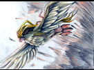 https://image.noelshack.com/fichiers/2013/15/1365464358-pidgeot-by-destroyedsteak.jpg