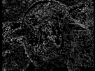 https://image.noelshack.com/fichiers/2013/15/1365515240-1362264261-abd-69.gif