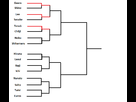 https://image.noelshack.com/fichiers/2013/15/1365624988-new-schema-tournoi.png