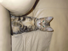 https://image.noelshack.com/fichiers/2013/15/1365625278-dscn1957.jpg