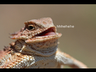 https://image.noelshack.com/fichiers/2013/15/1365868131-tumblr-lryc0cme8v1qbt8o1.jpg