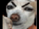 https://image.noelshack.com/fichiers/2013/15/1365882685-1365879578-mickay.gif