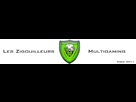 https://image.noelshack.com/fichiers/2013/15/1365941337-banniere-zig.jpg