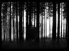 https://image.noelshack.com/fichiers/2013/15/1365963261-le-slenderman.jpg