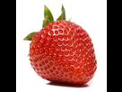 https://image.noelshack.com/fichiers/2013/16/1366056114-fraise.jpg