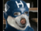 https://image.noelshack.com/fichiers/2013/16/1366137511-exceptionnalnain-1.gif