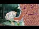https://image.noelshack.com/fichiers/2013/16/1366324819-gonvswall.png