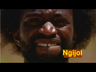 https://image.noelshack.com/fichiers/2013/16/1366367529-ngi.png