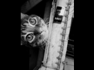 https://image.noelshack.com/fichiers/2013/16/1366490127-iphone-image-04-20-2013.jpg