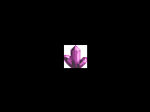 https://image.noelshack.com/fichiers/2013/17/1366621396-amethyste.png