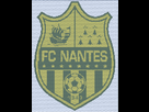 https://www.noelshack.com/2013-17-1366740394-fc-nantes.png