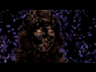 https://image.noelshack.com/fichiers/2013/17/1366899026-qairx.gif