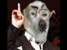 https://image.noelshack.com/fichiers/2013/18/1367417038-1366047559-morandinhish.jpeg