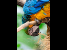 https://image.noelshack.com/fichiers/2013/18/1367521193-dsc-0273-center-parcs-copier.jpg