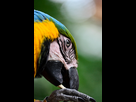 https://image.noelshack.com/fichiers/2013/18/1367521232-dsc-0271-center-parcs-copier.jpg