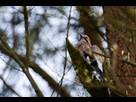 https://image.noelshack.com/fichiers/2013/18/1367521285-dsc-0099-center-parcs-copier.jpg