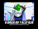https://image.noelshack.com/fichiers/2013/18/1367566001-namekian-facepalm-by-ashurathehedgehog199-d3bge3t.jpg