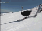 https://image.noelshack.com/fichiers/2013/19/1367853207-1367691217450.gif