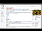 https://image.noelshack.com/fichiers/2013/19/1367901867-wiki.png