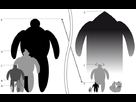 https://image.noelshack.com/fichiers/2013/19/1368027346-taille102.png