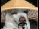 https://image.noelshack.com/fichiers/2013/19/1368225006-antho.gif